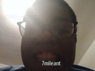 7mileant