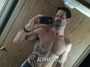 ALPHADOG