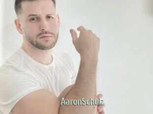 AaronSchulz