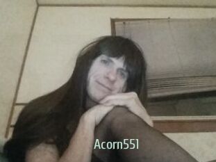 Acorn551