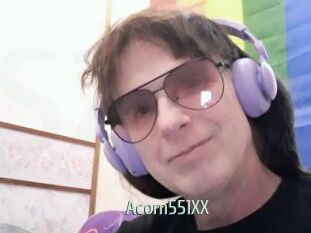 Acorn551XX