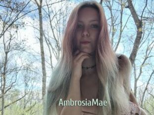 AmbrosiaMae
