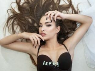 AneSky