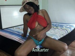 AniKarter