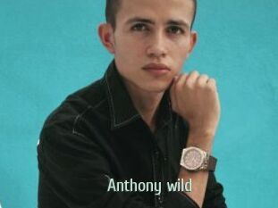 Anthony_wild