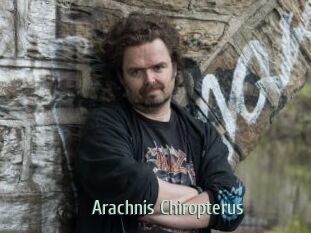 Arachnis_Chiropterus