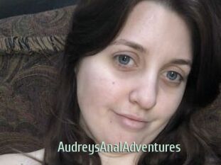 AudreysAnalAdventures