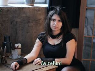 AviceBird