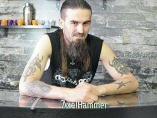 Axel_Hammer