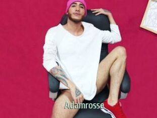 Adamrosse
