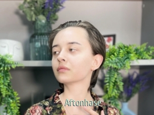 Aftonhase