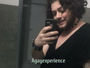 agayexperience Sexcam Zone