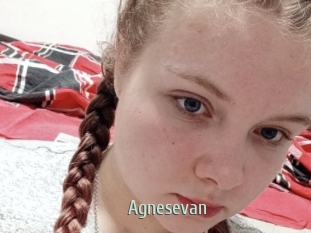 Agnesevan