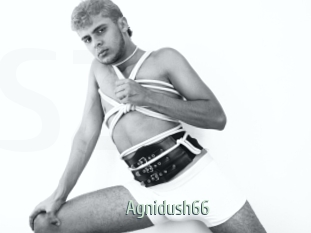 Agnidush66