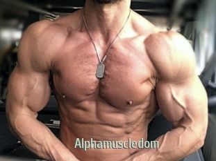 alphamuscledom Sexcam Zone