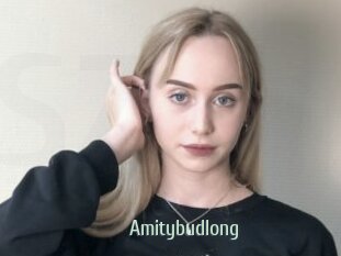 Amitybudlong