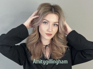 Amitygillingham