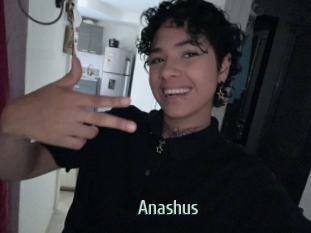 Anashus