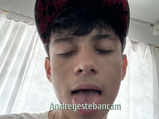 Andreyestebancam
