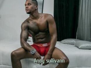 Andy_sullivann