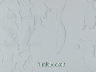 Annisbeeson
