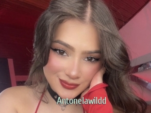 Antonelawildd