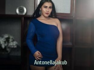 Antonellajakub