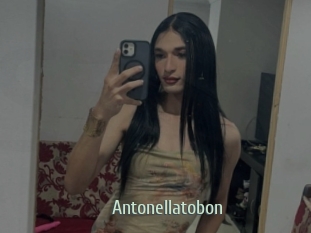 Antonellatobon
