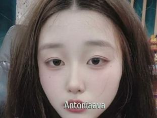 Antoniaava
