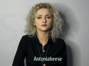 Antoniabeese