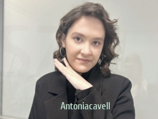 Antoniacavell