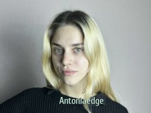 Antoniaedge