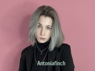 Antoniafinch