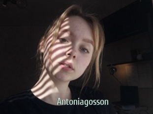 Antoniagosson