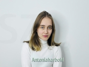 Antoniaharbold