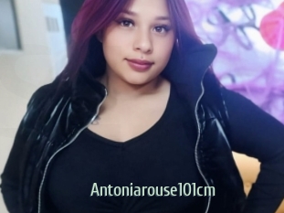 Antoniarouse101cm