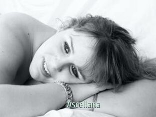 Ascellana