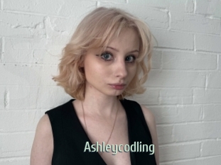 Ashleycodling