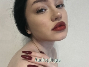 Audreybigge