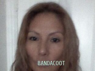 BANDACOOT