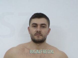 BIGALFREDXL Sexcam Zone