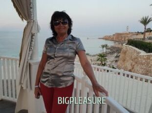 BIGPLEASURE