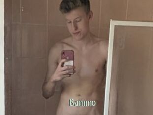 Bammo