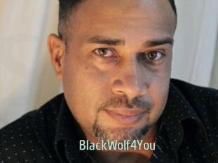 BlackWolf4You