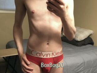 BoxBoy20