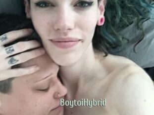 BoytoiHybrid
