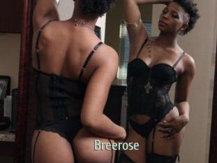 Breerose