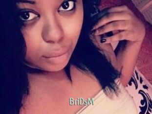 BriDsM