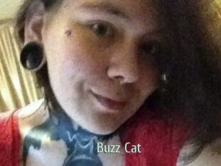 Buzz_Cat