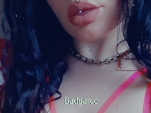 Badgarce